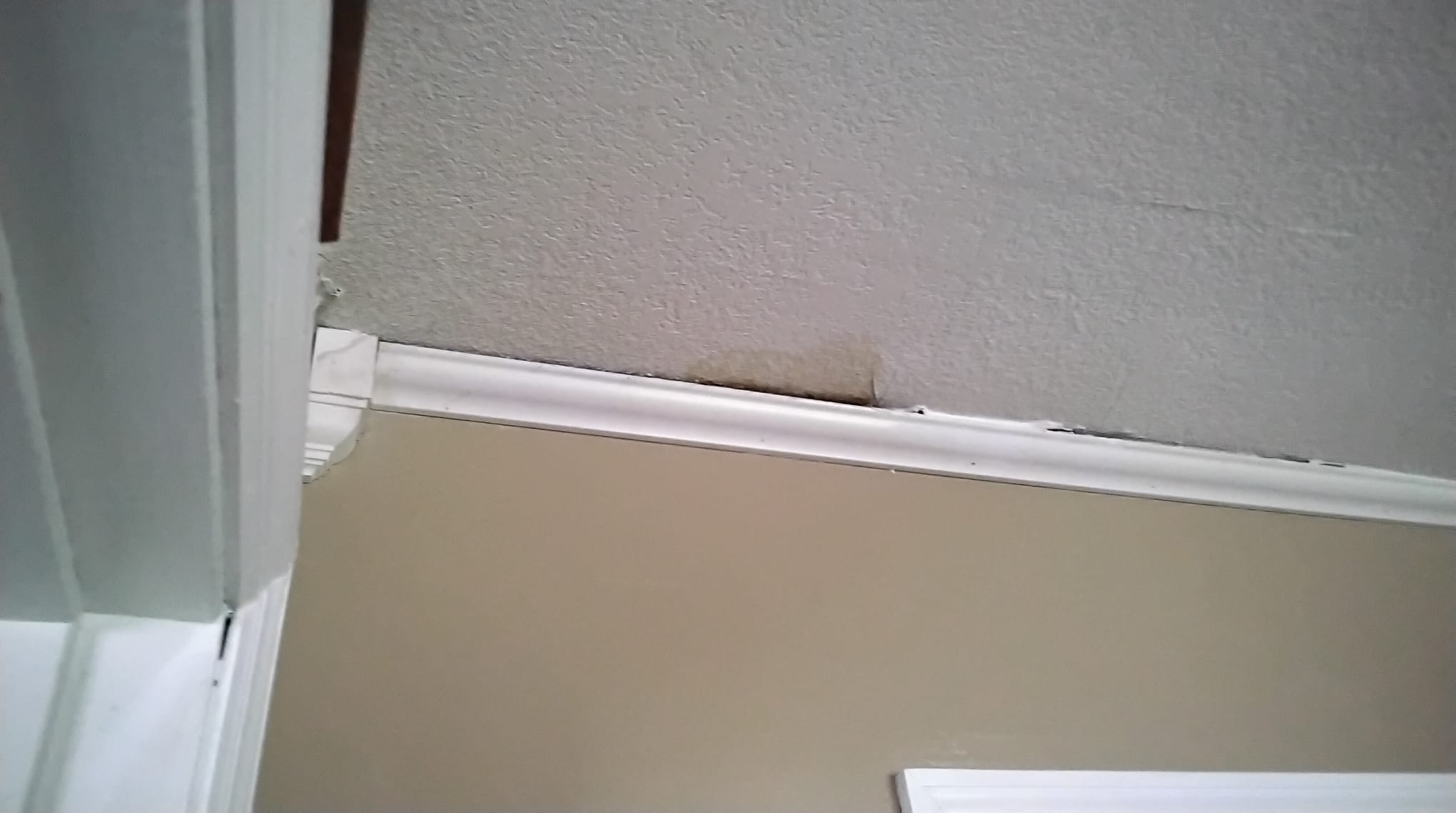 Before water damage visible on the interior